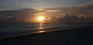 Jambiani Guest Lodge Garden