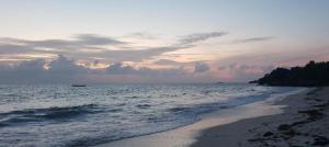 Jambiani Guest Lodge Garden