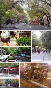 Departamento Cabernet