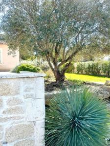 Villas Villa Beau Site Pool 8 Sleeps : photos des chambres
