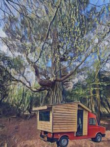 Granville House Apartments and Garden Suites