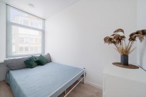 Central Cozy 1Bedroom Apartment with Sofa Bed - Sleeps 4