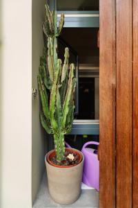 Thisseion Lofts George