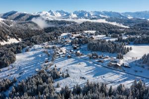 Chalets Demi-Chalet Les Trolles 6-8 pers : Chalet 3 Chambres