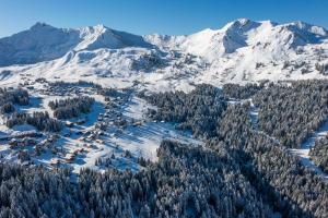 Chalets Demi-Chalet Les Trolles 6-8 pers : photos des chambres