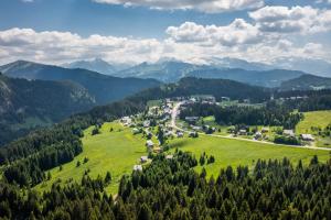 Chalets Demi-Chalet Les Trolles 6-8 pers : photos des chambres