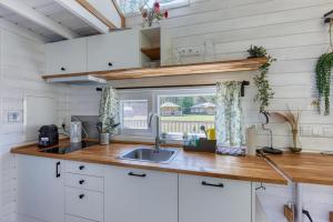 Blue Tiny House with HotTub