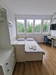 Apartment Luna in Biograd center