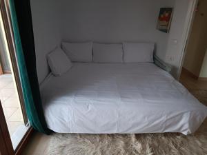 ΑΡΧΟΝΤΙΚΟ ΜΑΝΤΕΙΟ