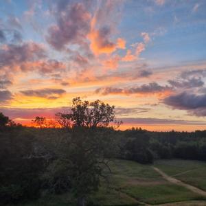 Appartements Beautiful suite in a historical castle in Loire Valley : Appartement - Vue sur Jardin
