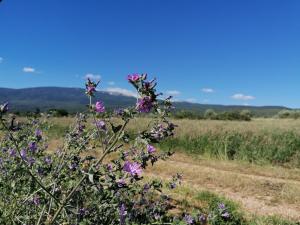 Appartements A GAUGUIN Cyclistes Ventoux : photos des chambres