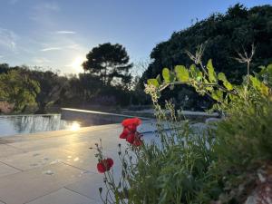 Maisons d'hotes Le Mas Golie : photos des chambres