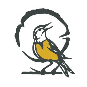 Gorgeous Midtown Condo