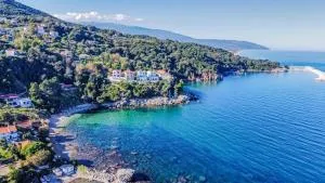 Art of Luxury - Velika