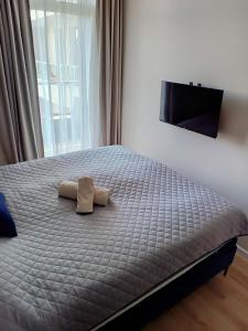 Apartament Grey 52, 3 min od plaży, basen, plac zabaw, darmowy parking!