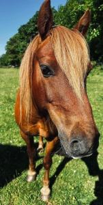 Lochview Retreat Caravan