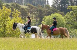 Lochview Retreat Caravan