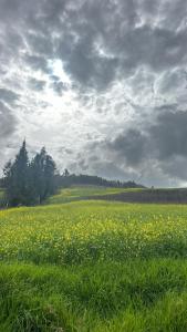 Casa Campestre SUANOGA