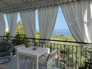 Miky's Bay - Forza dʼAgro