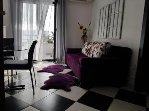 Apartments Marintino - 斯比尼克尔姆波茨斯基