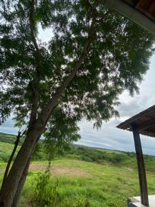 Fazenda em Irará disponível para São João
