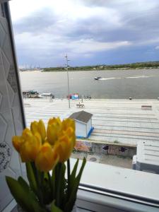 Apartament Pelicanul