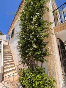 Mar Mediterráneo Vera Playa