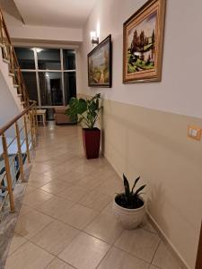 Bello Apartaments