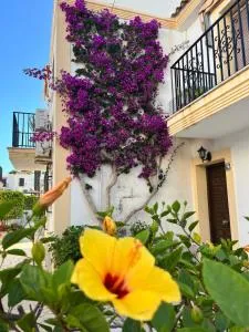 Mar Mediterráneo Vera Playa - Playas de Vera