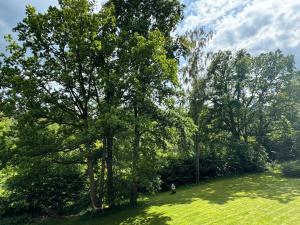 Ferienwohnung Brilon - Willingen in 10min