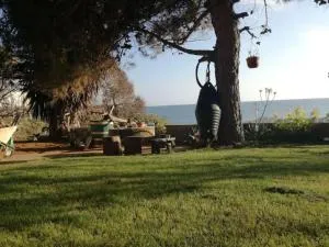 Corfu sea front apartment, The nest - Ágios Matthaíos