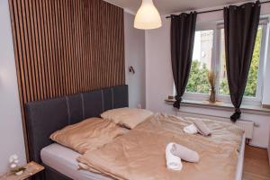 sunny & cozy - Netflix - WIFI - City - 4 Person