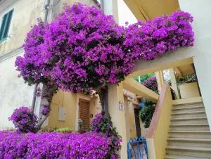 La casa dei Nonni - Cavo