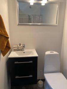 Charming - Luxurious 1 bedroom apartment in The Heart of Aalborg