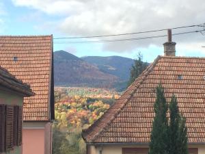 Maisons de vacances L'estaminet De La Vallee : photos des chambres