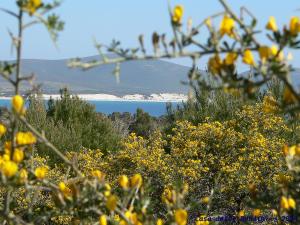 Casa delle rondini img40