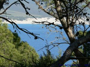 Casa delle rondini img43