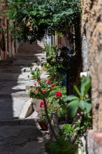 La mia deliziosa Casetta di giù