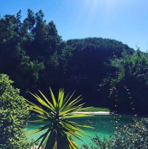 Grand Mas avec piscine sur Ramatuelle-Saint-Tropez