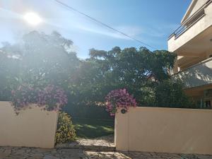 Sunny1