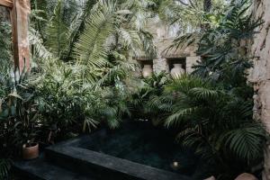 Design Loft with private pool and SPA like feature