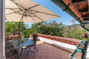 Atlantic Nest Poiares