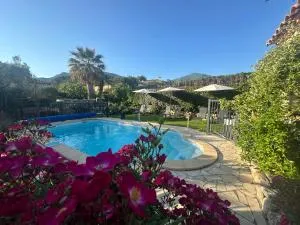 La villa des oliviers - Sorède