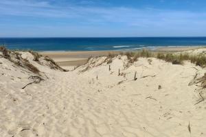 Maisonnette proche océan