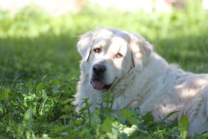 Agroturystyka Nasza Bajka