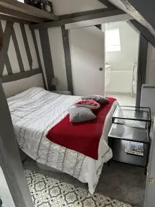 Studio atypique - 贝尔纳堡