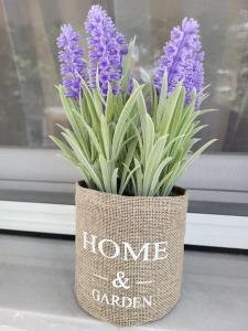 Ολοκαίνουρια Iosifs residence