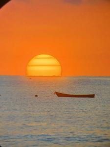 Cabinas Corcovado Green Parrot, Los Planes Drake