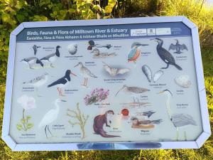 Dingle Escape -2 Bed -Sleeps 4