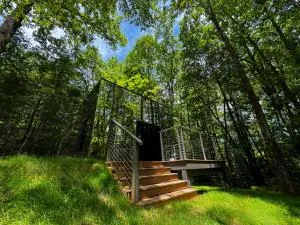 454 Looking Glass Mirror Cabin - Brevard